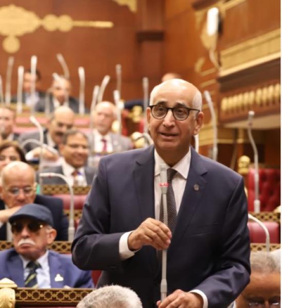النائب حسانين توفيق