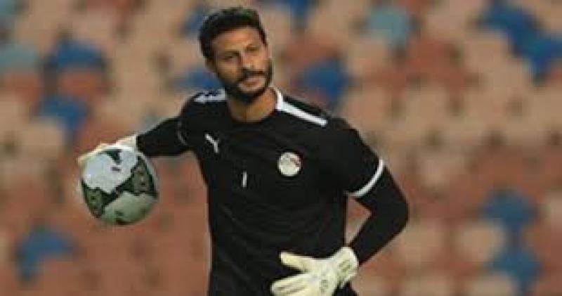 محمد الشناوى 