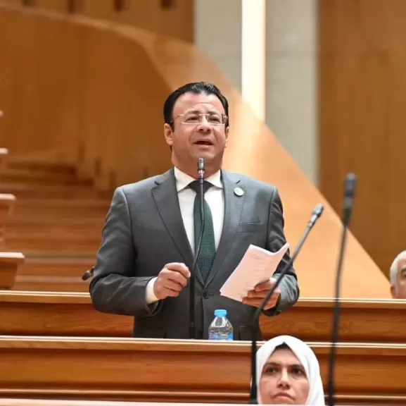 النائب محمود البرعي