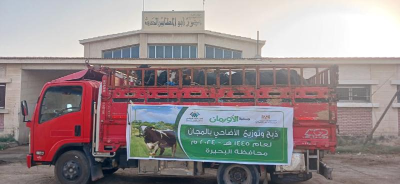 الاورمان