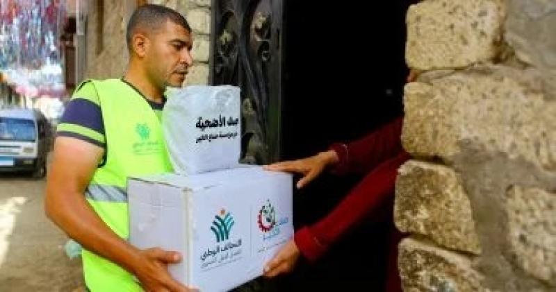    التحالف الوطنى, التحالف ,جهود التحالف, الأسماعيلية