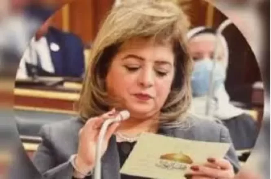  النائبة هناء أنيس