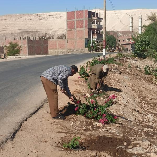 اثناء التشجير