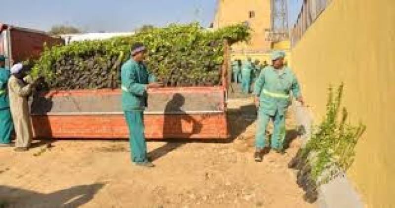 مصر تتصدر الدول الجاذبة 