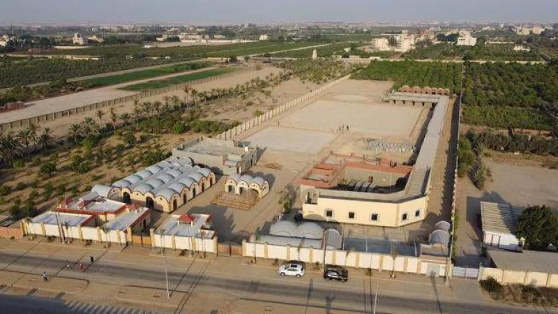 الاتحاد المصرى للفروسية 