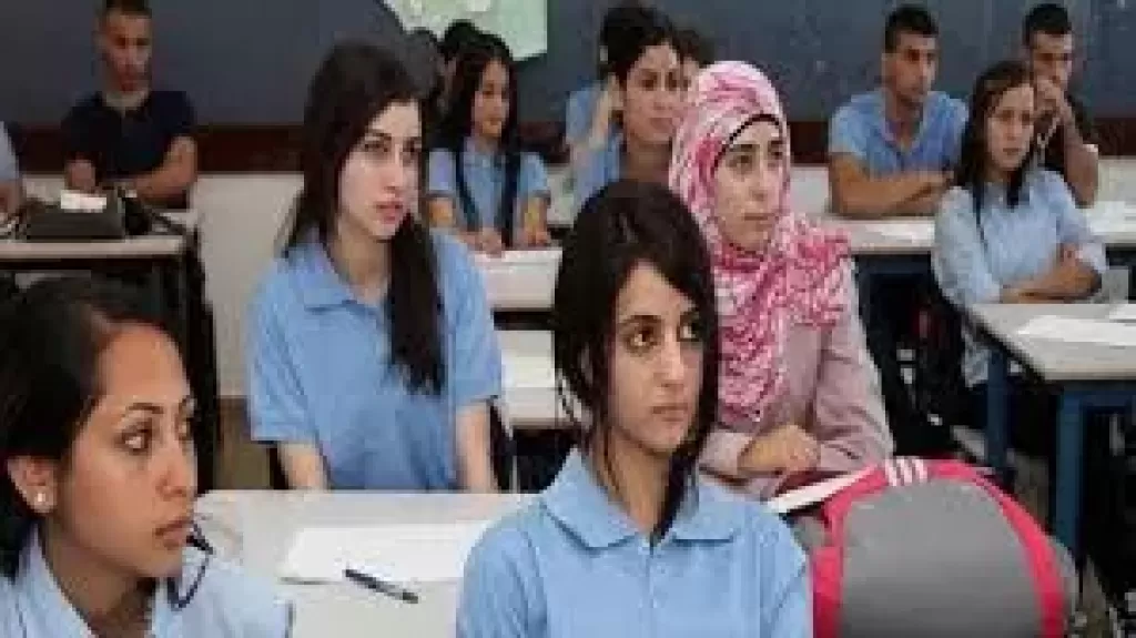 ارشيفية 