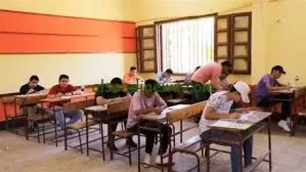 ارشيفية 