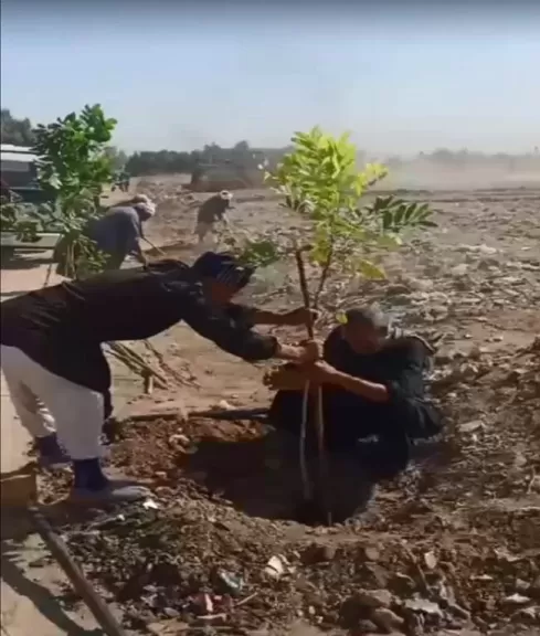 صوره راشفية 