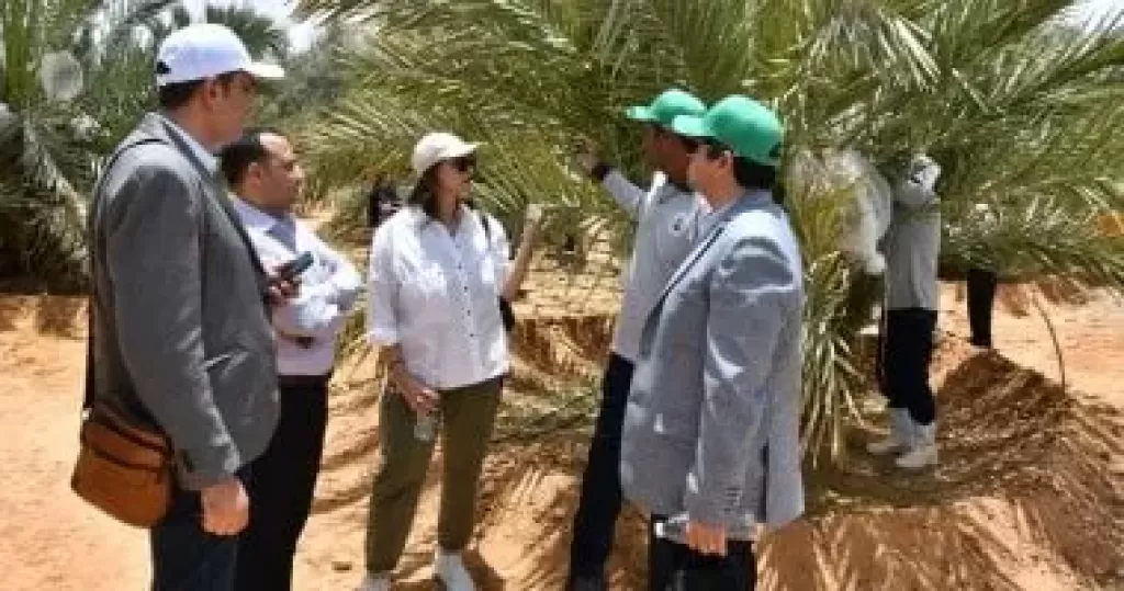 زيارة لمشروع استصلاح وزراعة الأراضى الصحراوية بتوشكى