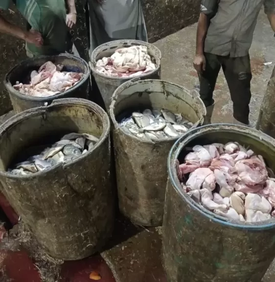 جانب من المضبوطات