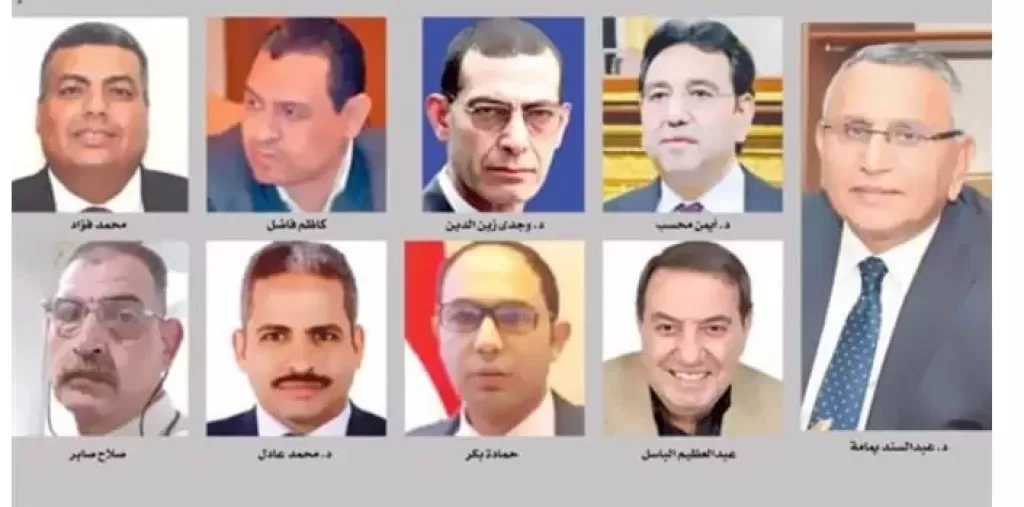 مجلس الوفد 