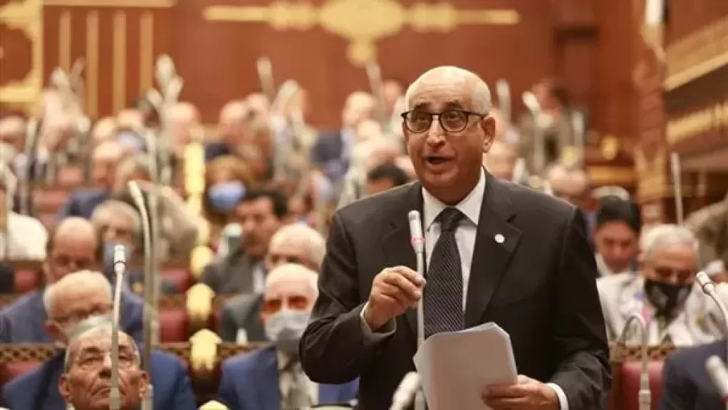  النائب حسانين توفيق