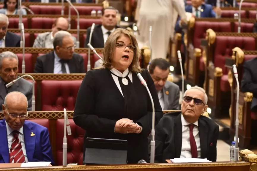 النائبة فيبي فوزي وكيل مجلس الشيوخ