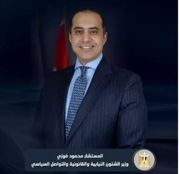 المستشار محمود فوزى
