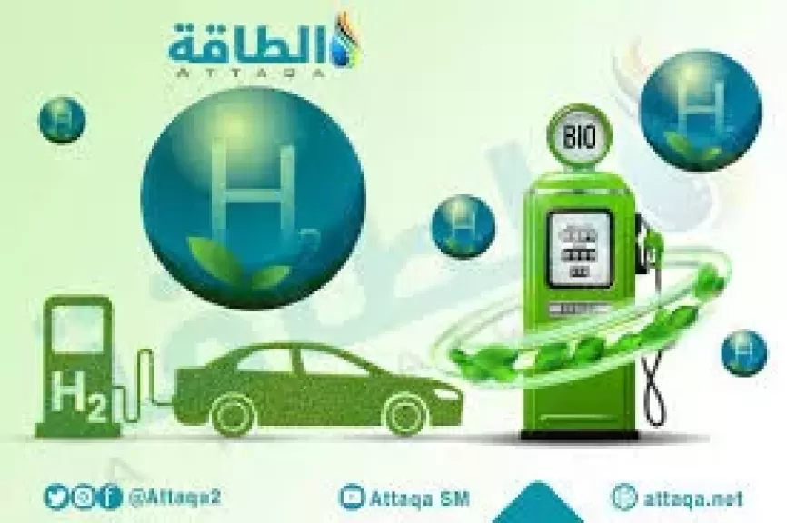 الوقود الصديق للبيئة الـ"بيوديزل "