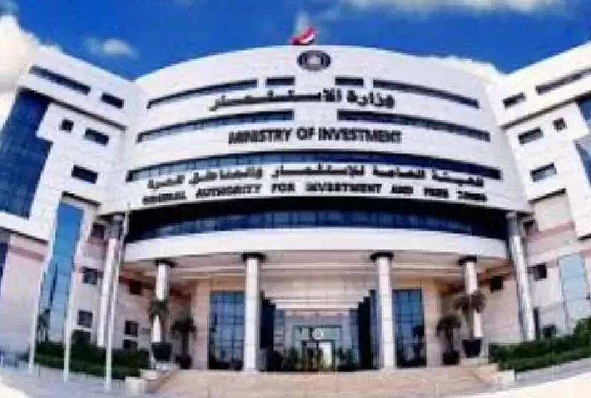 وزارة الاستثمار 