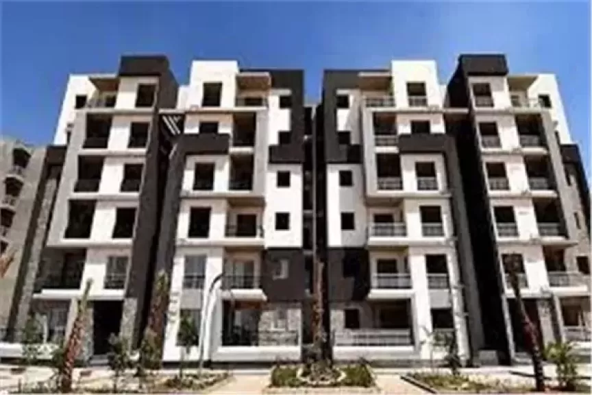 القاهرة الجديدة