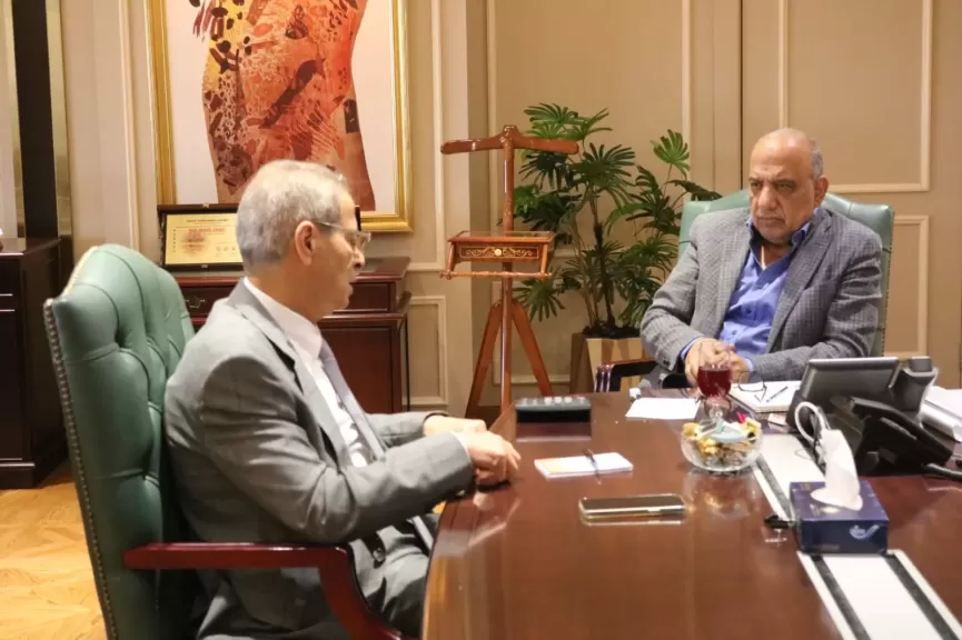 وزير الكهرباء 