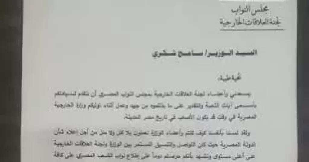  رئيس لجنة العلاقات الخارجية بمجلس النواب
