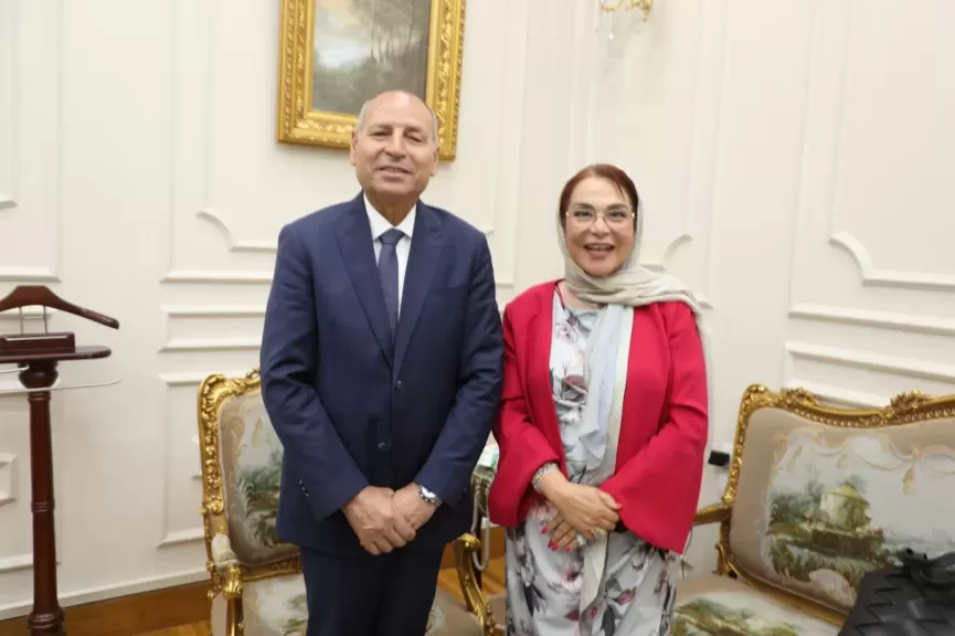 محافظ القاهرة