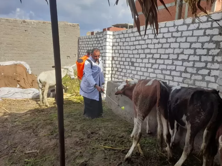 جهود الطب البيطري