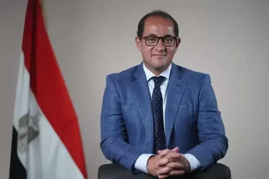 احمد كجوك وزير المالية