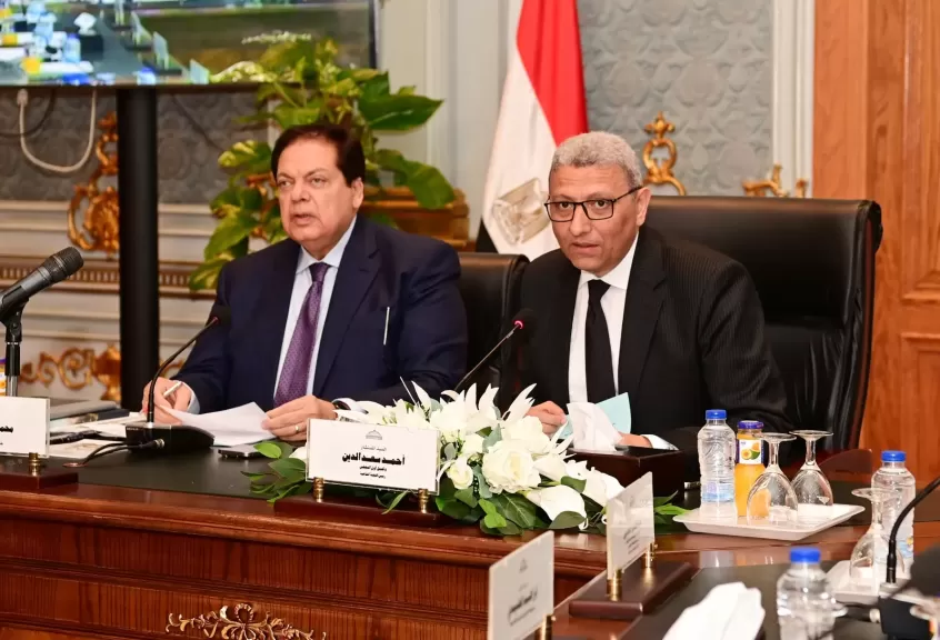 أحمد سعد الدين