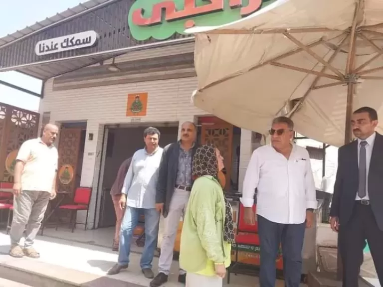 محافظ الدقهلية