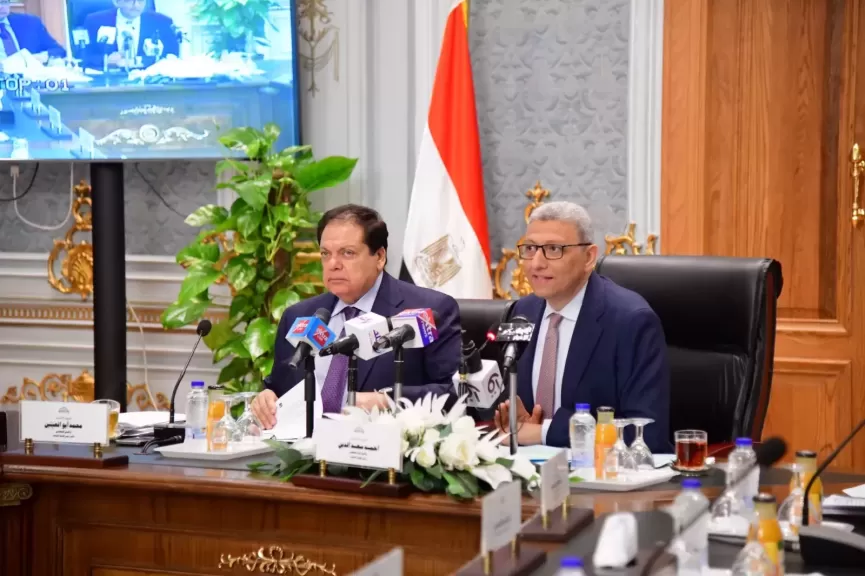  المستشار أحمد سعد الدين