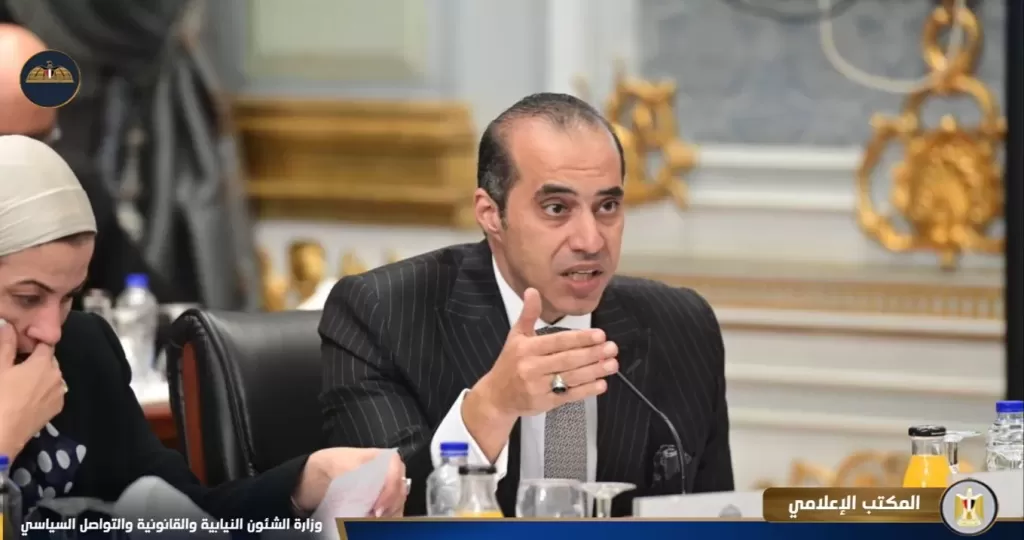 محمود فوزى 
