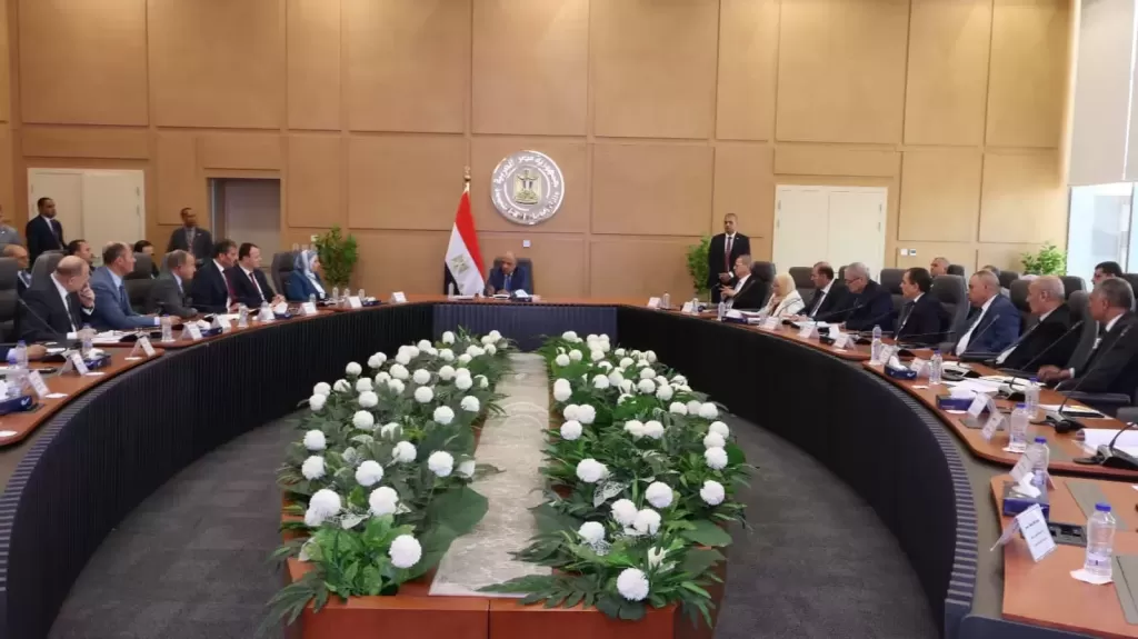 وزير الكهرباء 