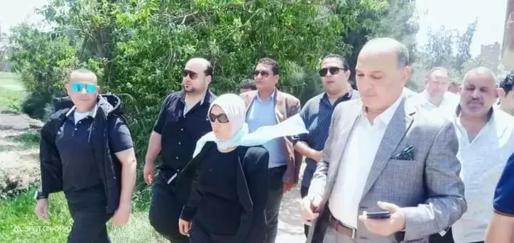 تجديد محولات الكهرباء ببندر و مركز دمنهور 