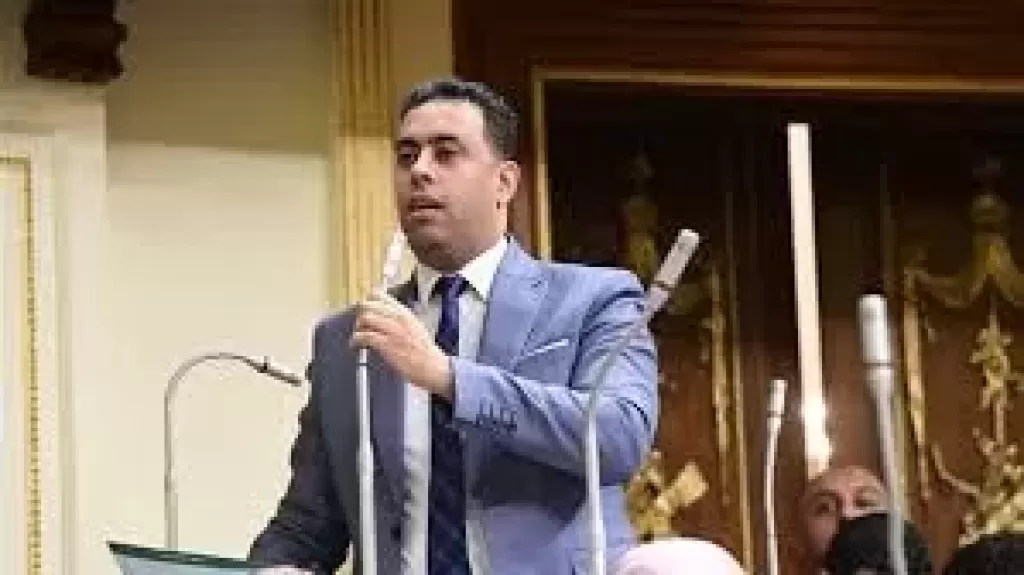  النائب أحمد فرغل
