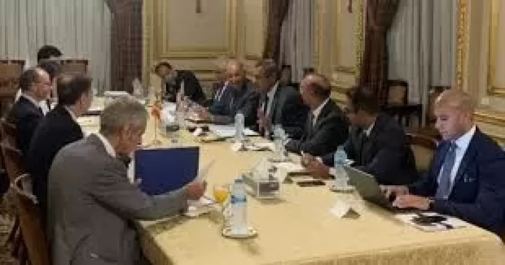 نائب وزير الخارجية والهجرة