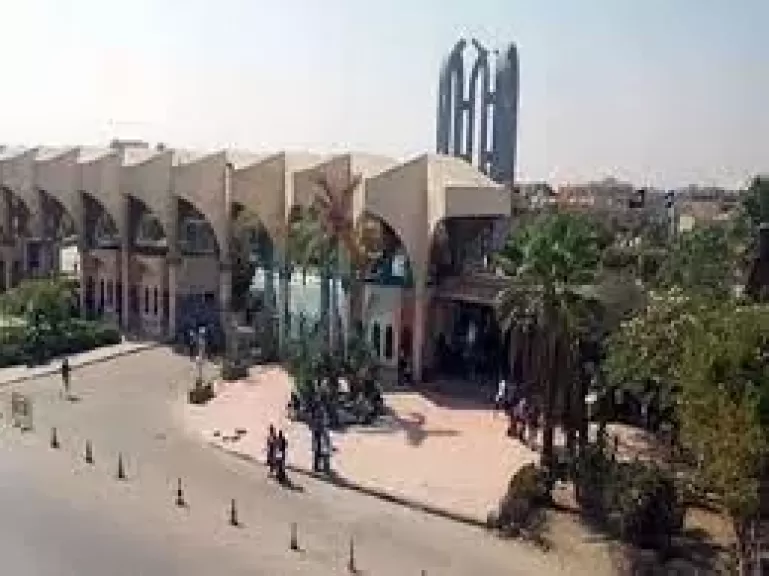 جامعه حلوان 