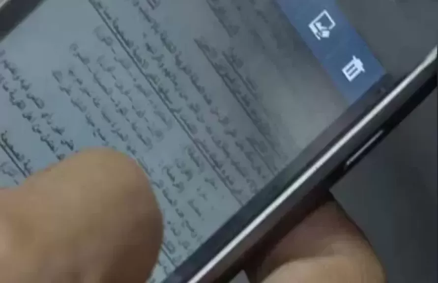 ارشيفة