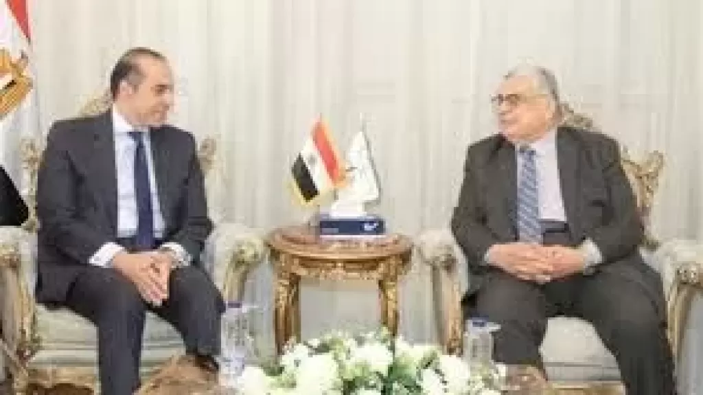 المستشار محمود فوزي يزور رئيس مجلس الدولة