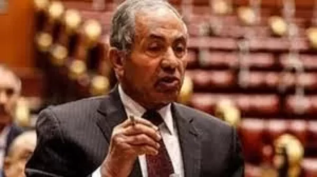 النائب اللواء أحمد العوضى