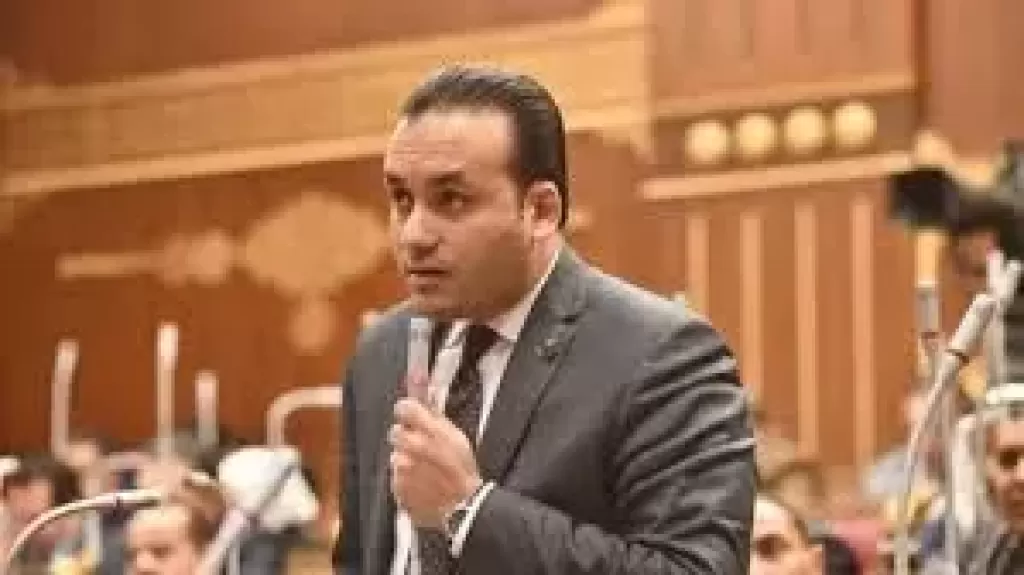 النائب عمرو فهمي