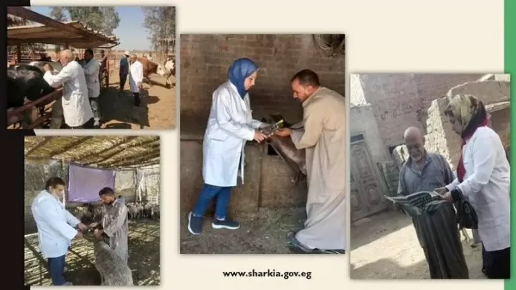 جلنت من التطعيمات 