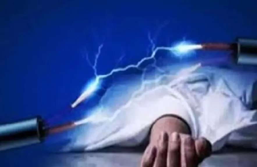 ارشيفية 