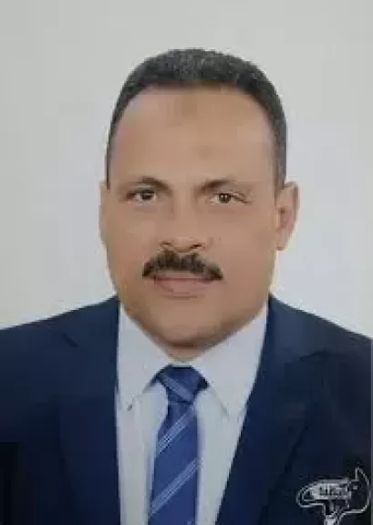 المحافظ 