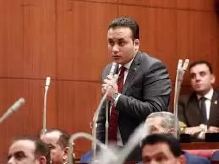 النائب عمرو فهمى