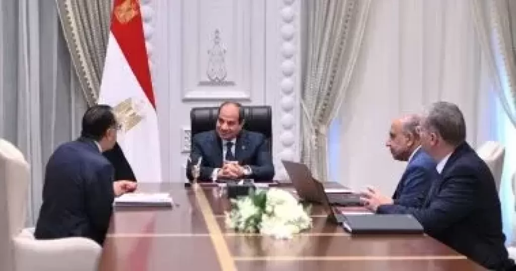 الرئيس السيسي خلال الاجتماع