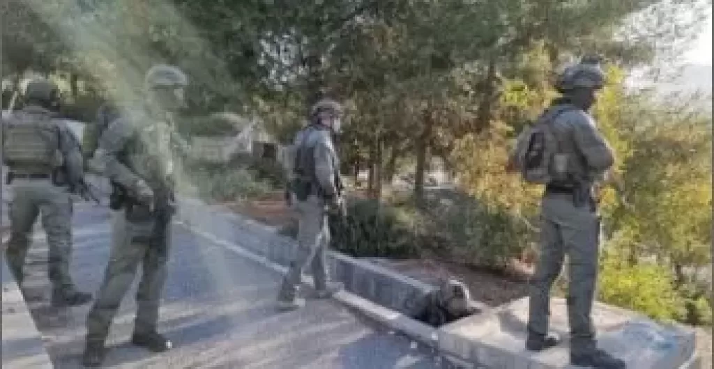 قوات الاحتلال