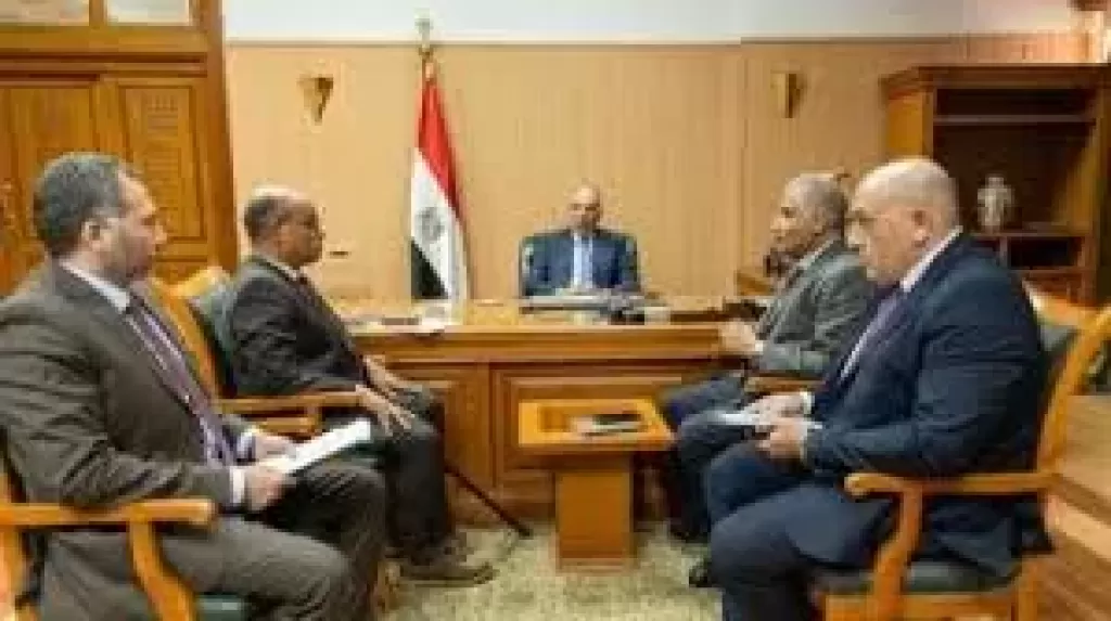 السفير المصرى بالأرجنتين