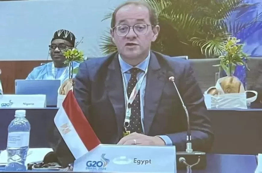 أحمد كجوك وزير المالي