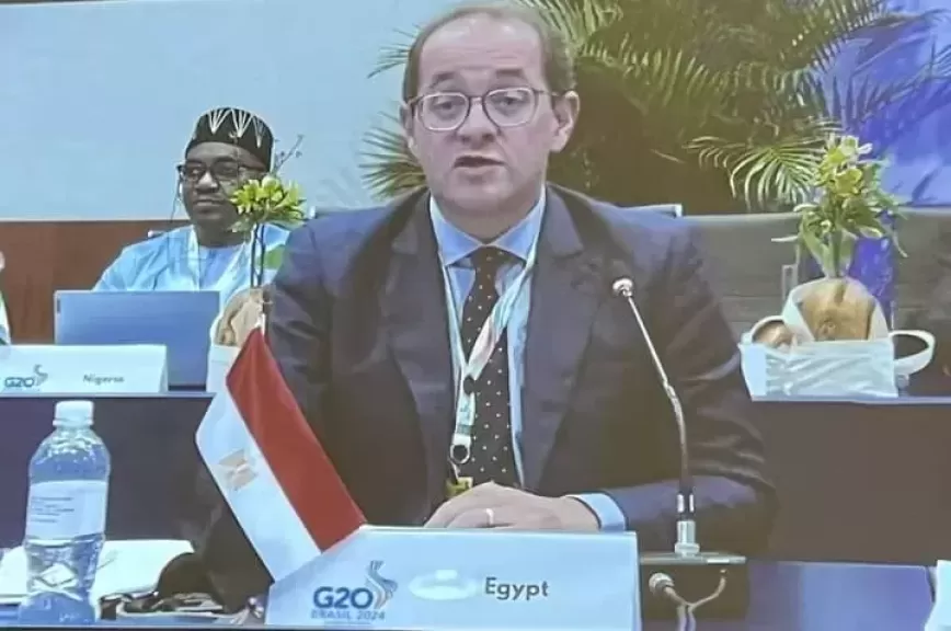 وزير المالية 