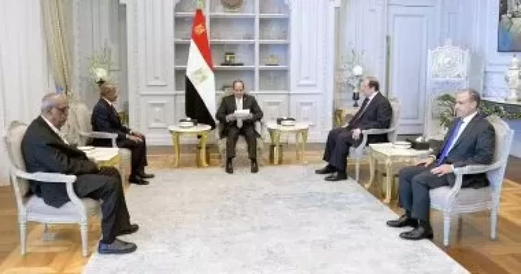 الرئيس السيسى 