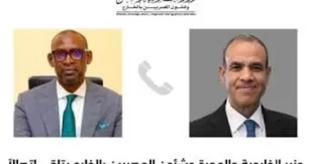 وزير الخارجية يجرى اتصالا هاتفيا مع نظيره المالى